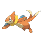 Buizel