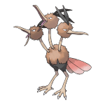 Dodrio