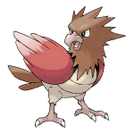 Spearow