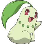 Chikorita