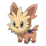 Lillipup